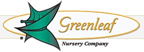 Greenleaf Nursery