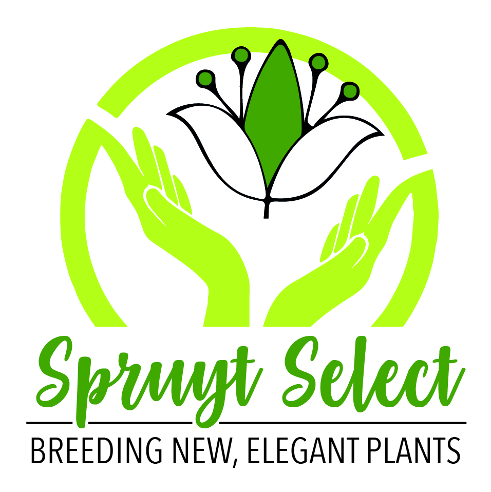 Spruyt Select CommV