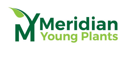 Meridian Young Plants