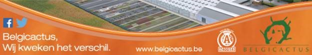 Belgicactus bvba