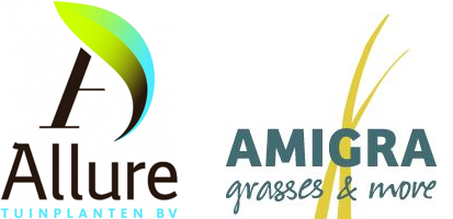Allure Tuinplanten B.V. & Amigra Young Plants