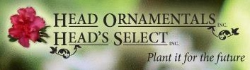 Head Ornamentals inc.