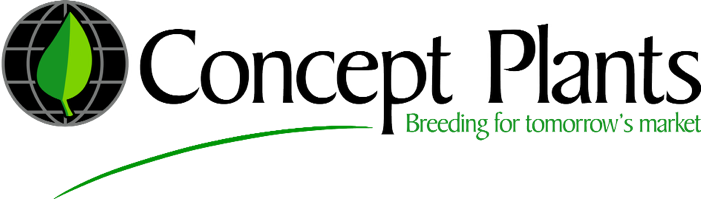 Concept Plants B.V.