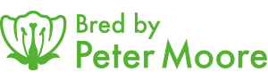 Peter R. Moore