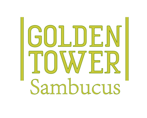 logo-sambucus-nigra-golden-tower-jandeboer001-pp28-957
