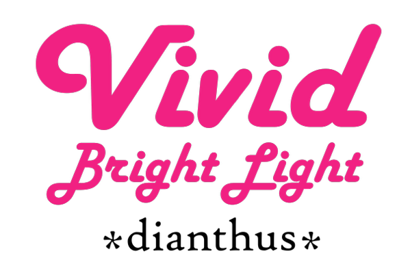 logo-dianthus-vivid-bright-light-uribest52-pp-28-239