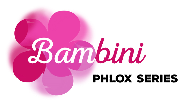logo-phlox-paniculata-bambini-lucky-lilac-versluck-pp33-335