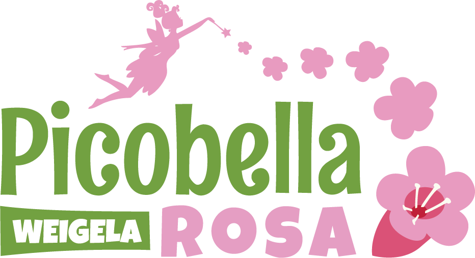 logo-weigela-picobella-rosa-tvp2-pp30-066