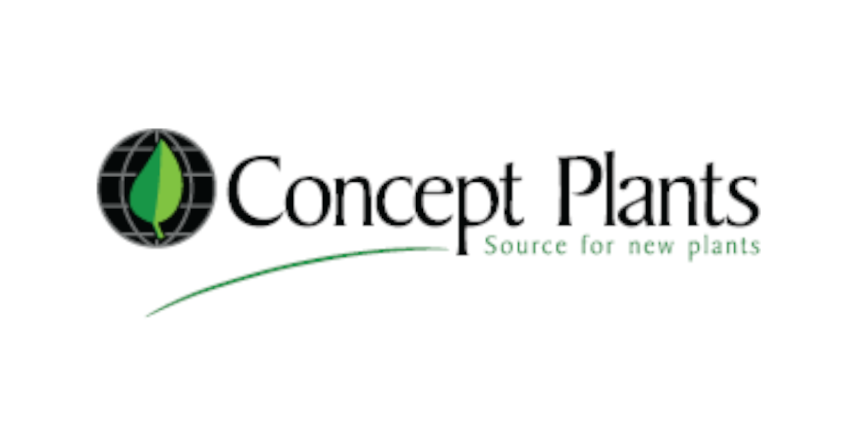 Concept Plants Our associated growers InnovaPlant de Costa Rica,