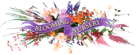 Blooming Nursery