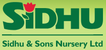 Sidhu & Sons Nursery Ltd.