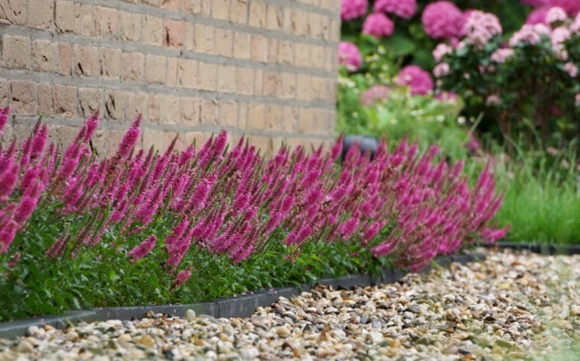 Veronica-Bubblegum Candles_Garden